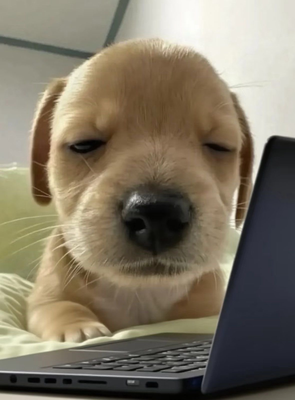 ทดสอบชำระเงิน2